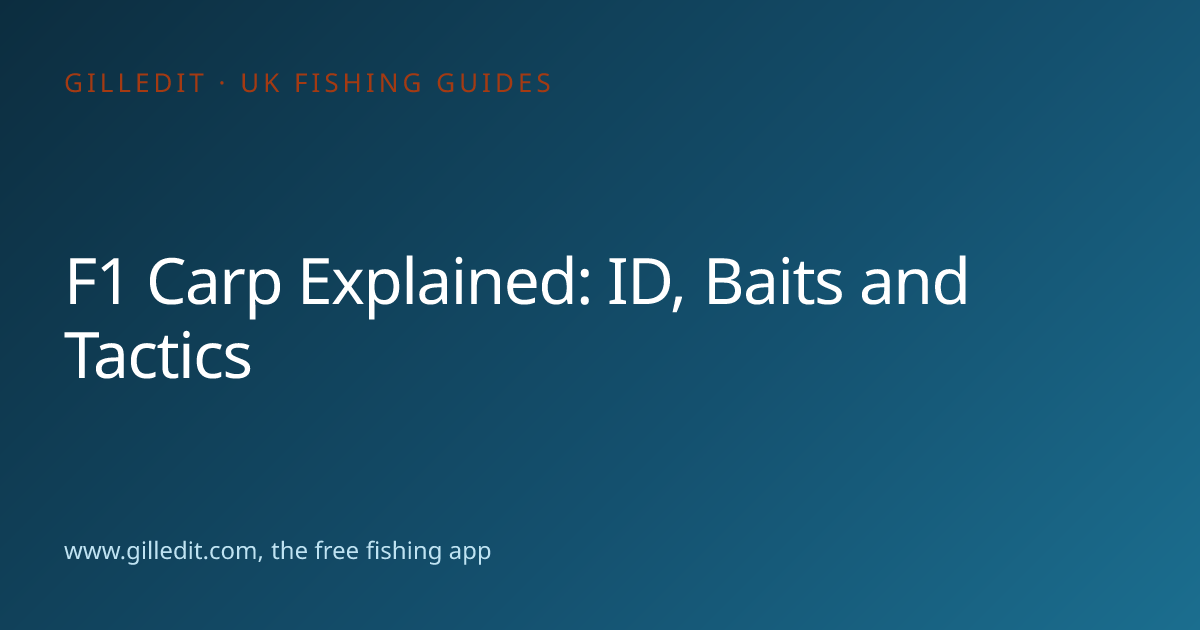 F1 Carp Explained: ID, Baits and Tactics