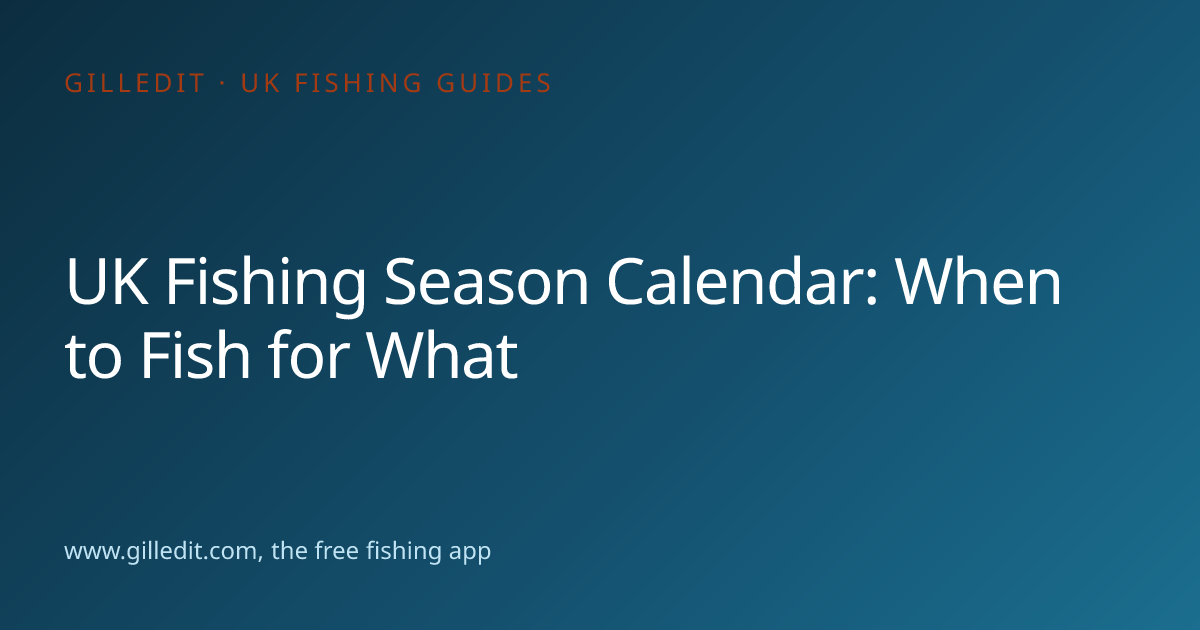uk-fishing-season-calendar-when-to-fish-for-what