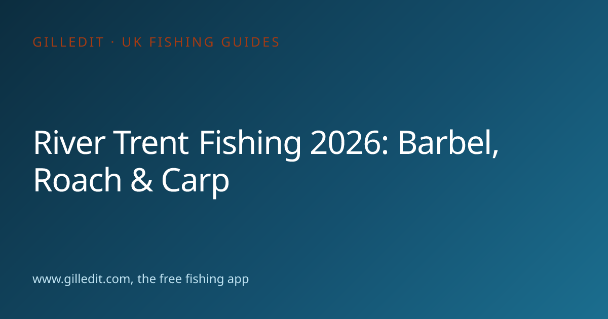River Trent Fishing 2026: Barbel, Roach & Carp