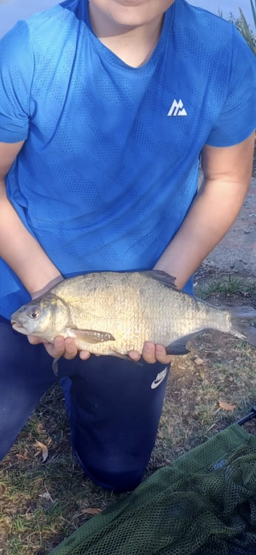 Bream caught by nath