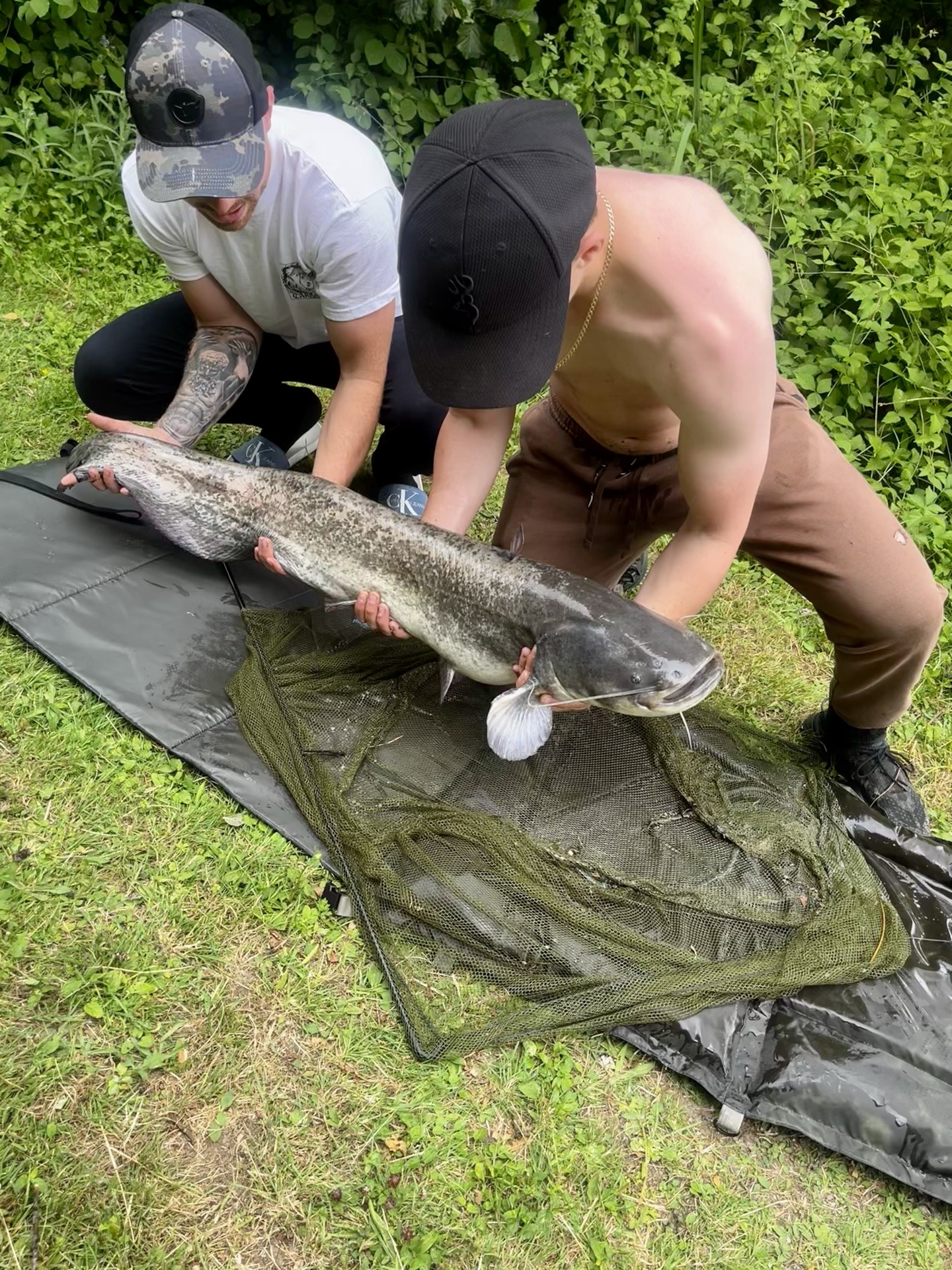 Wels catfish caught by laverslures