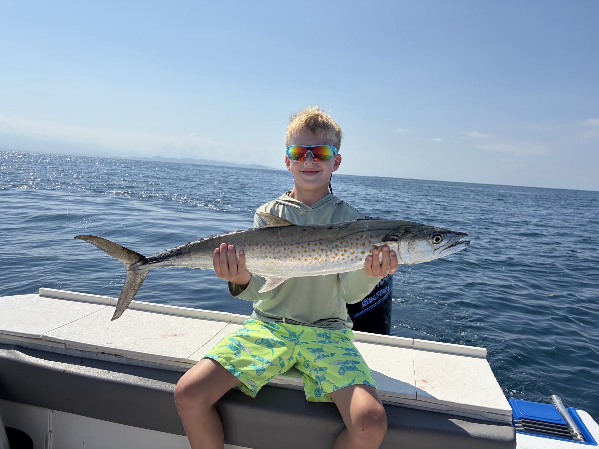 Spanish macrel caught by pat.jax