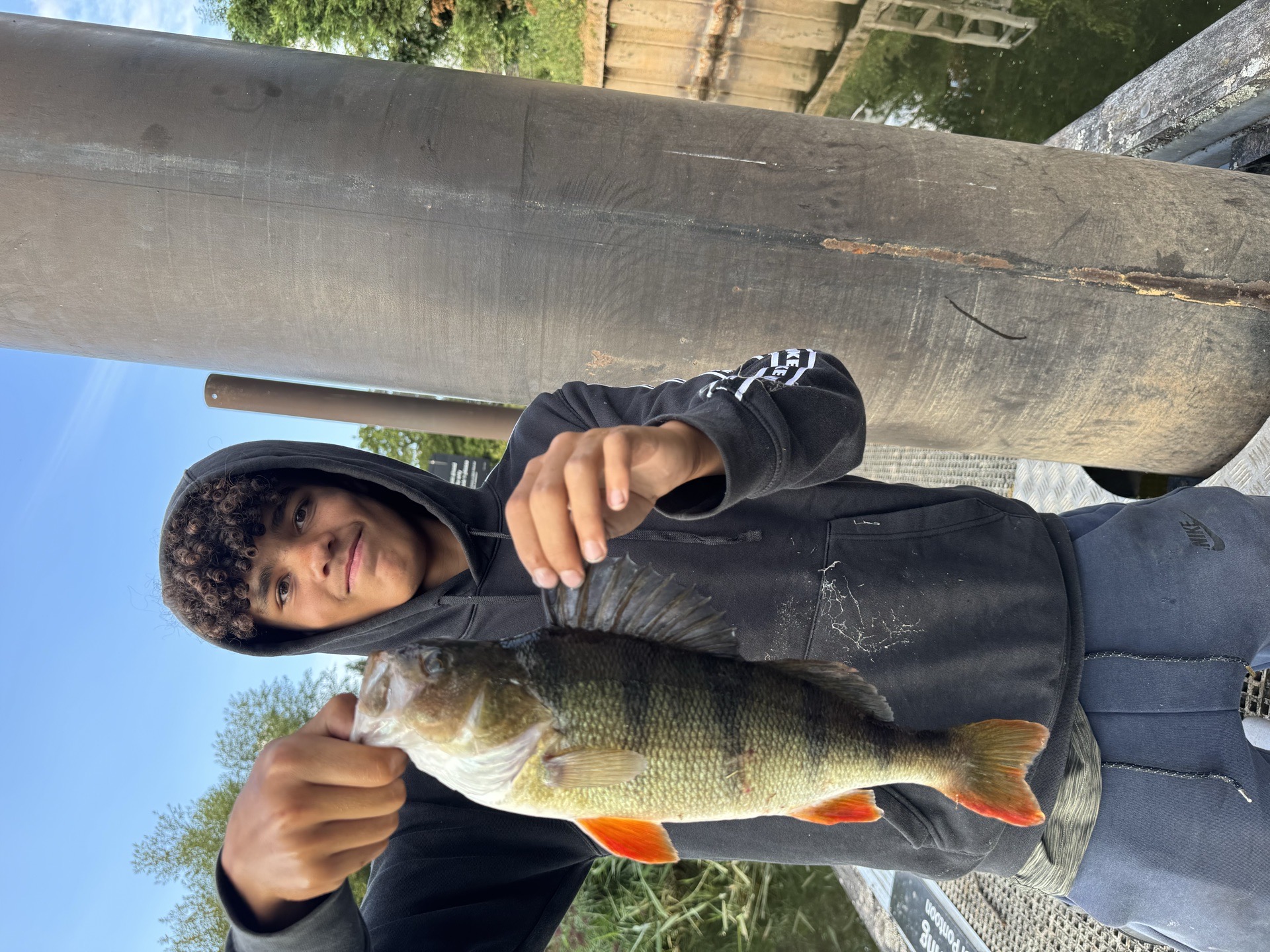 Perch caught by kylecadman