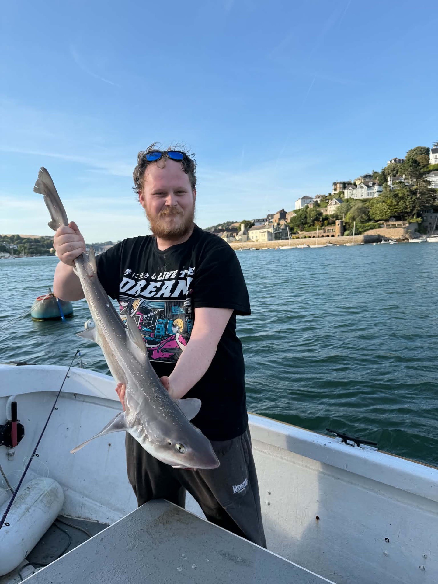 Starry Smoothhound caught by idemonicreaper