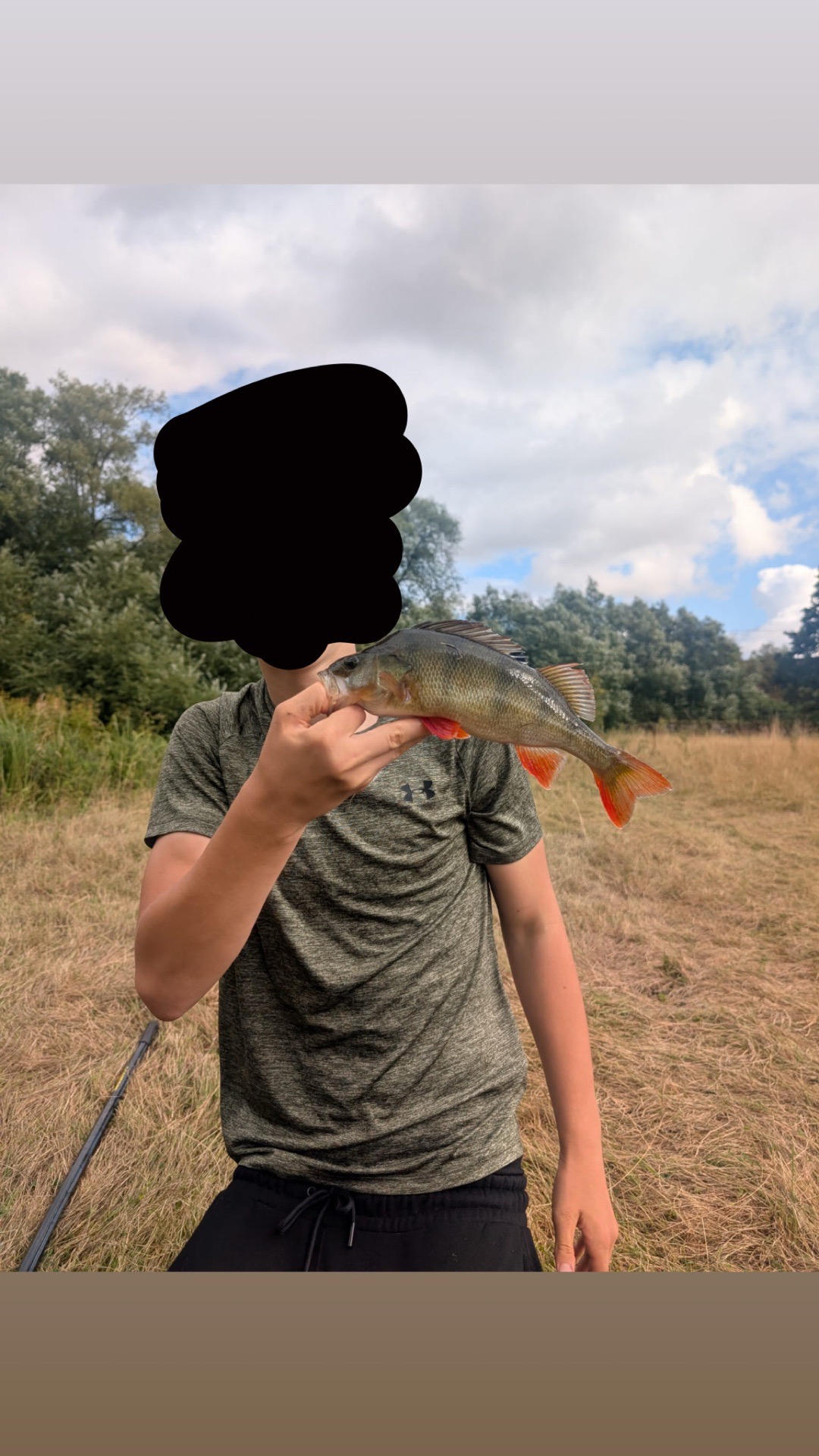 perch caught by alfie