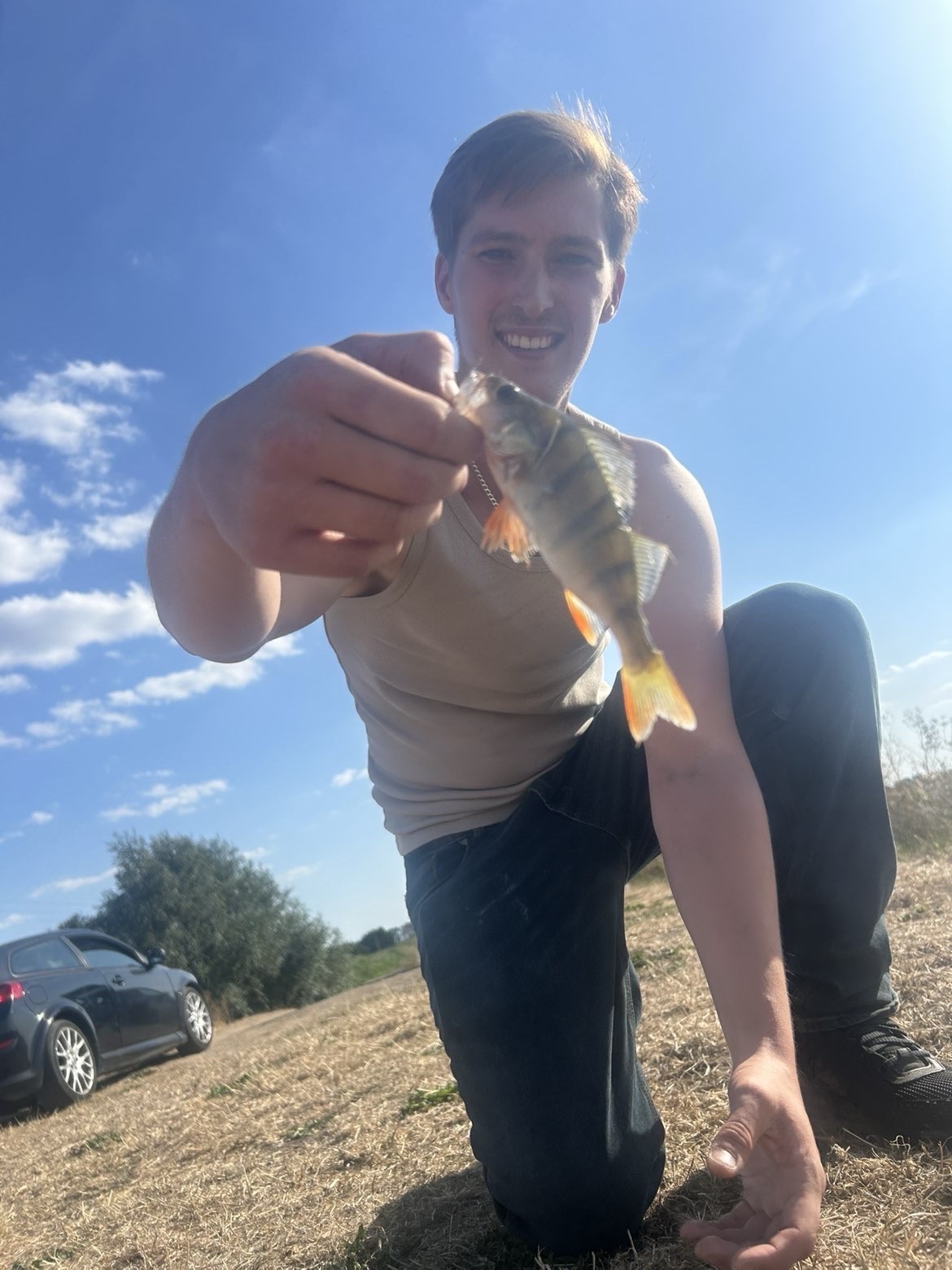 Perch caught by laverslures
