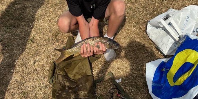 Common Carp caught by orroh