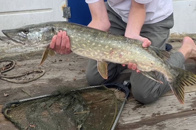 Pike caught by craig_david