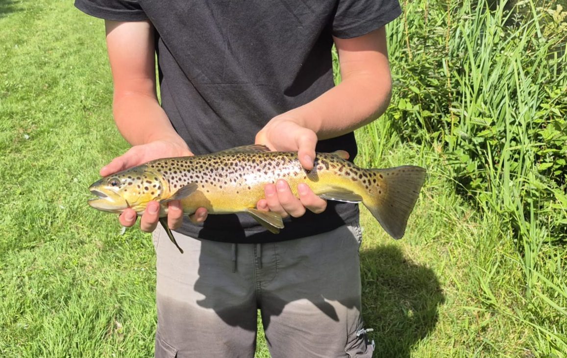 Brown Trout caught by oliver