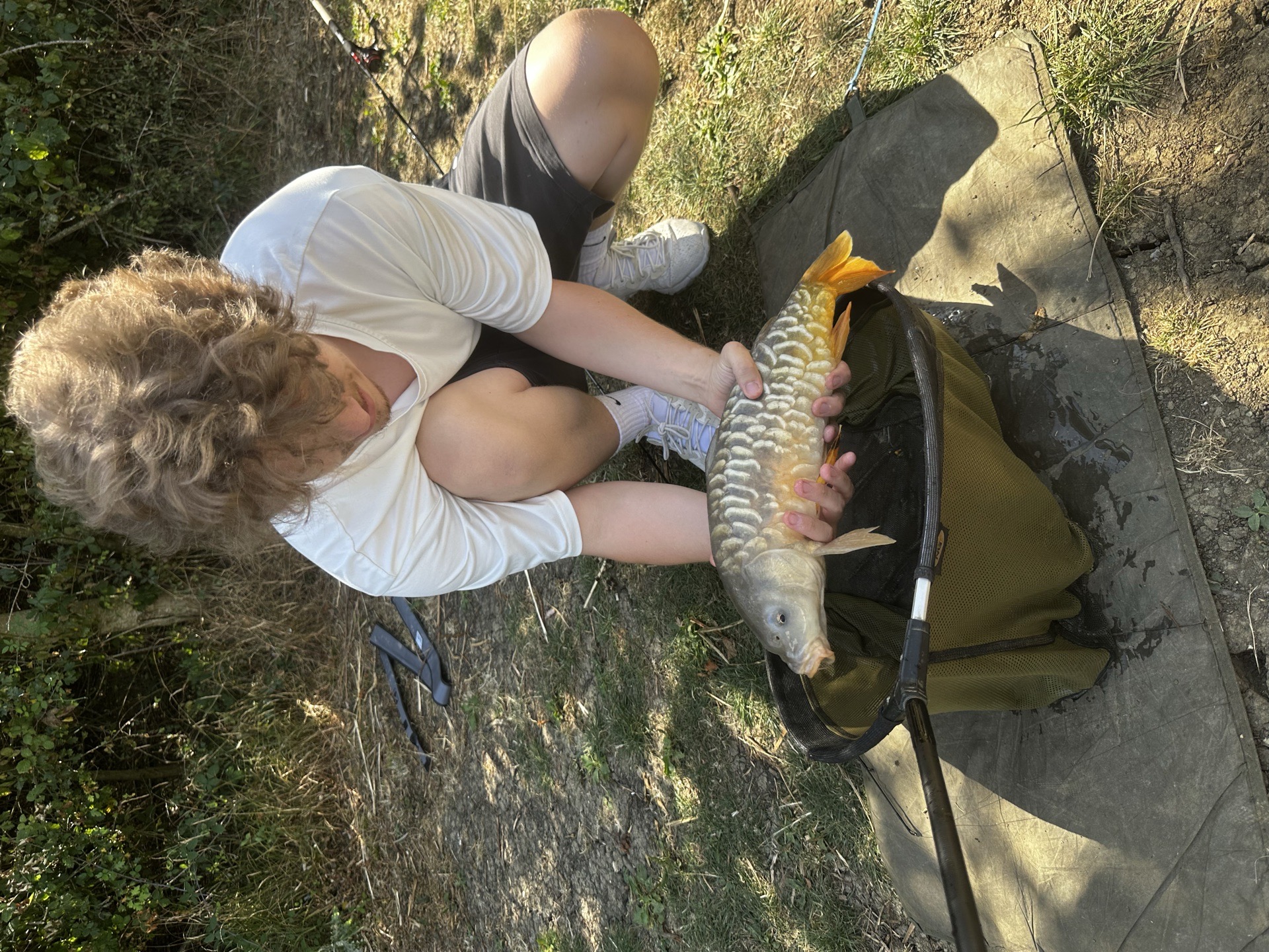 Mirror Carp caught by cbrxn