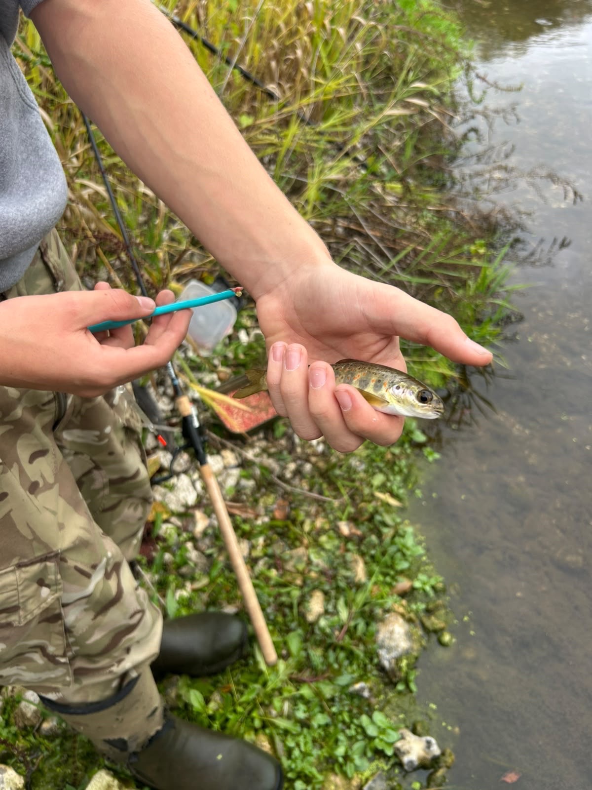 Atlantic salmon caught by anglingwitharchie