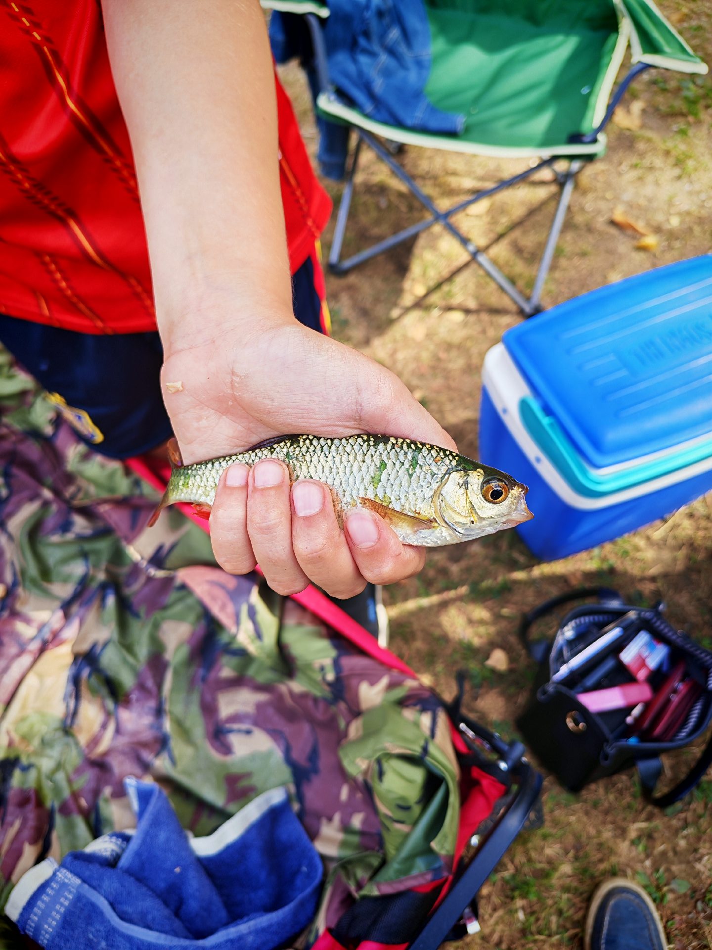 Carp caught by tony1962
