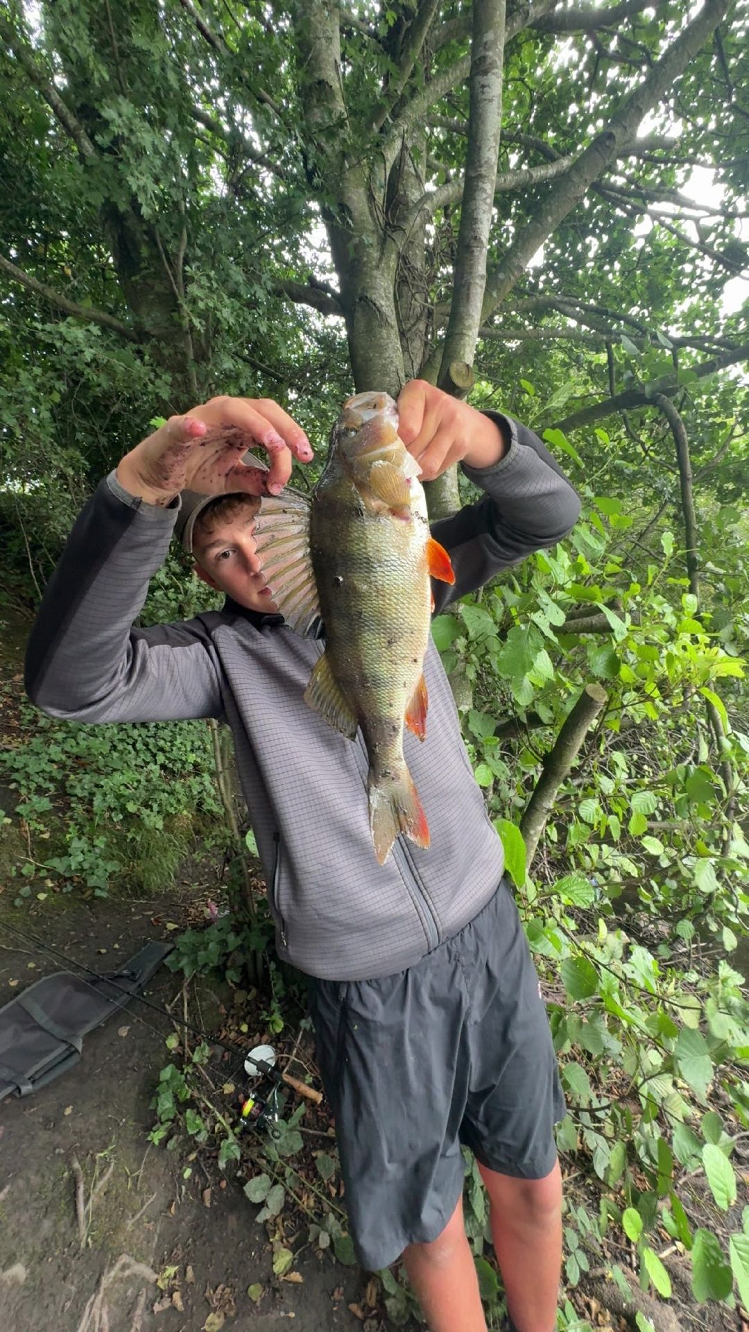 Perch caught by nicholasgorbko6