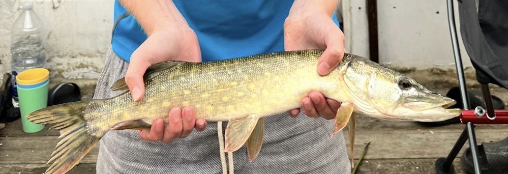 Pike caught by craig_david