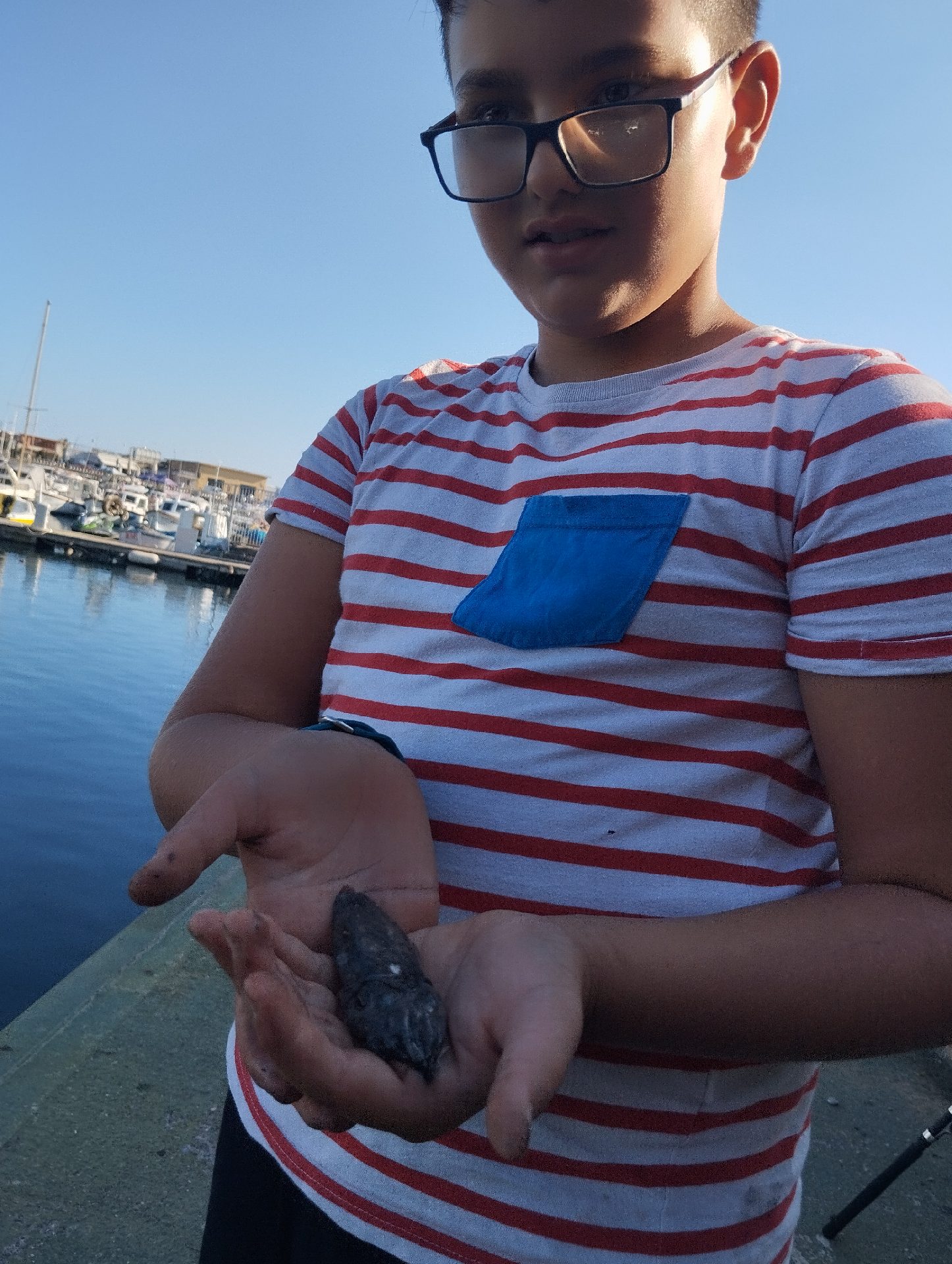idk a normal fish caught by musab