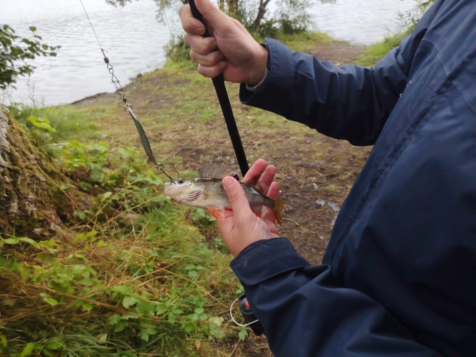 perch caught by chris