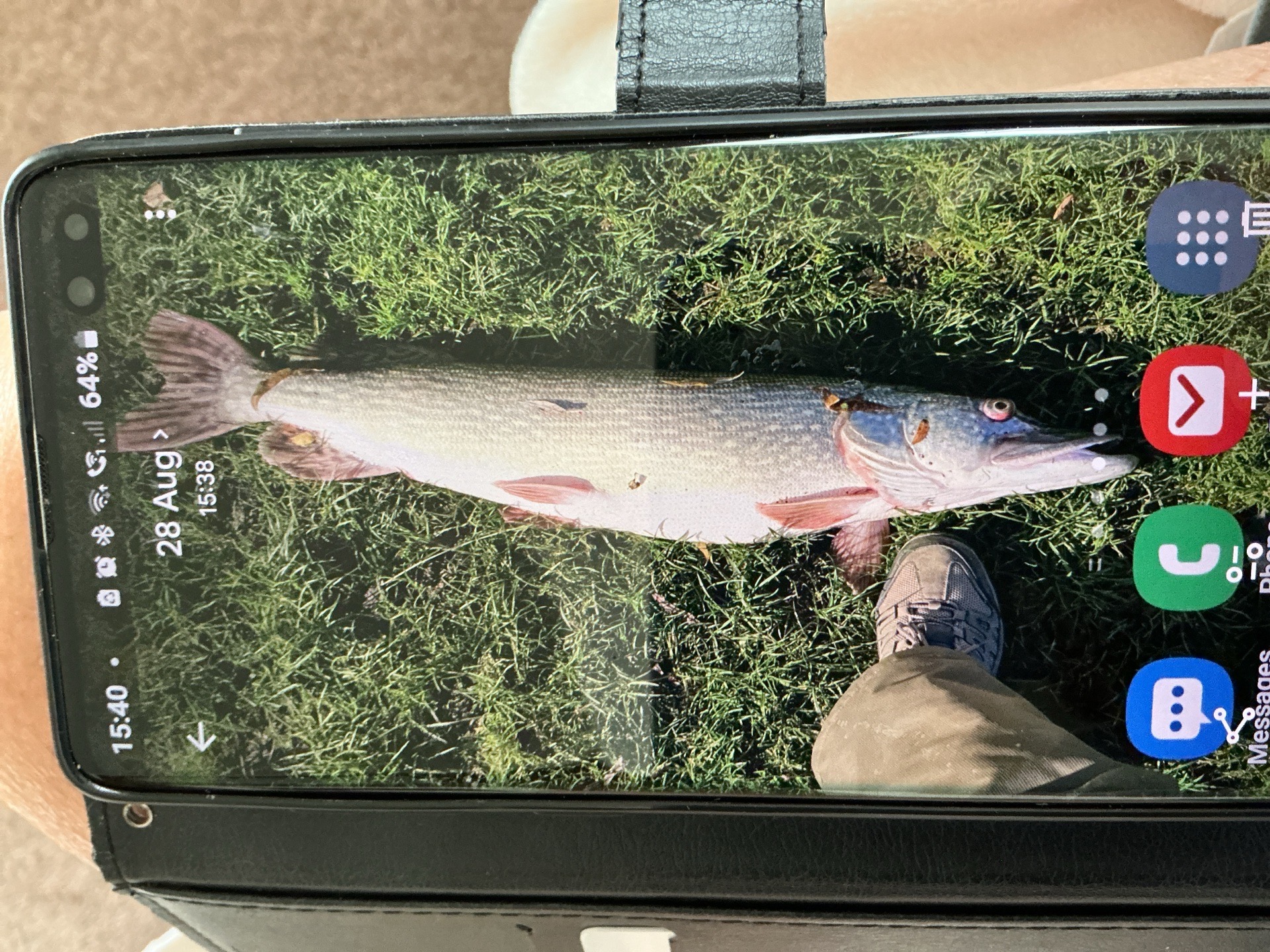 Pike caught by bigdavethomo
