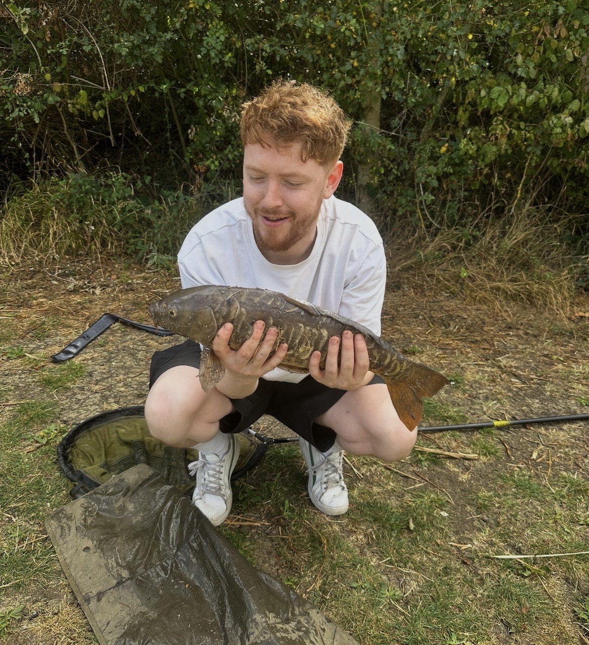 Tench caught by FishermanAdzzz
