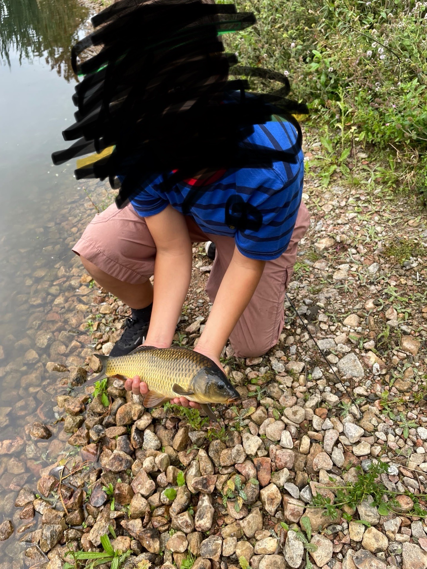 Carp caught by fishydishy