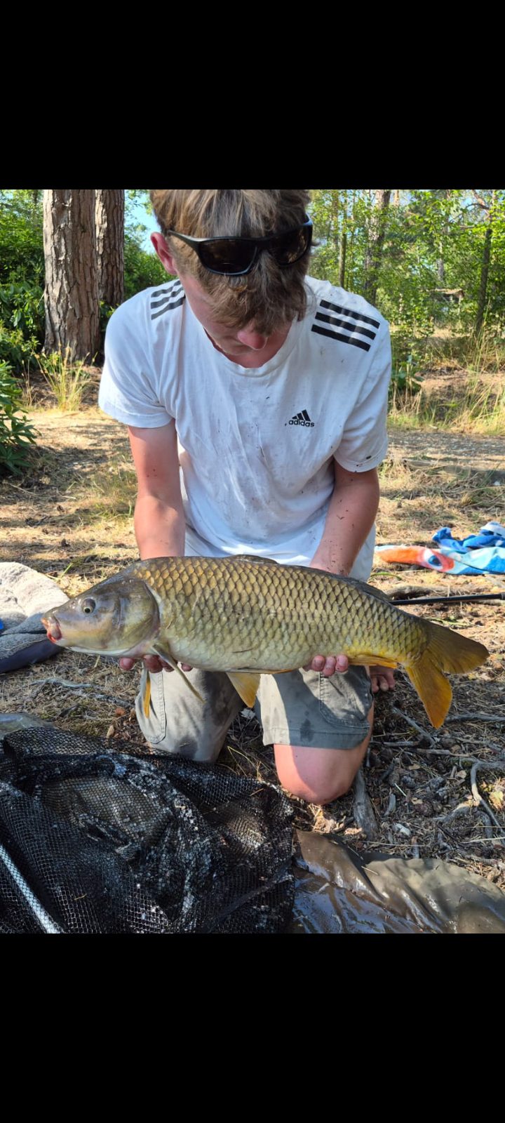 Common Carp caught by oliver