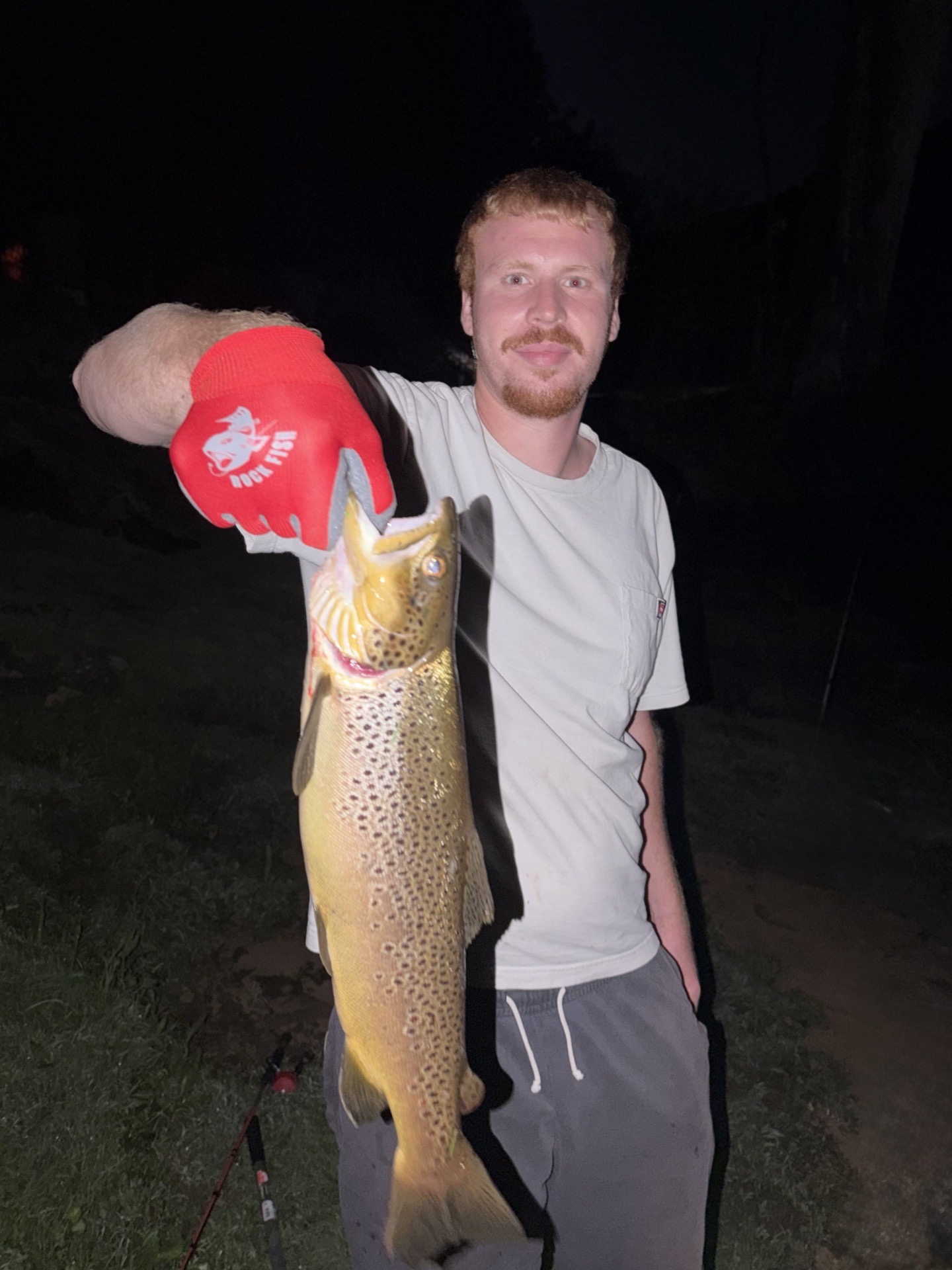 Wild Brown Trout caught by ollieall