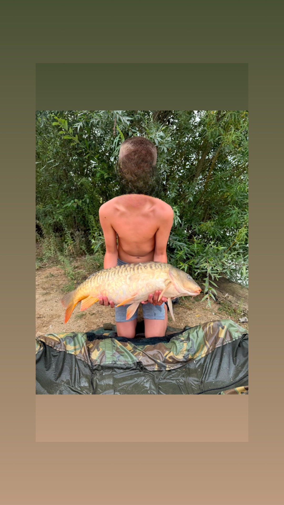 Mirror carp caught by kobdude