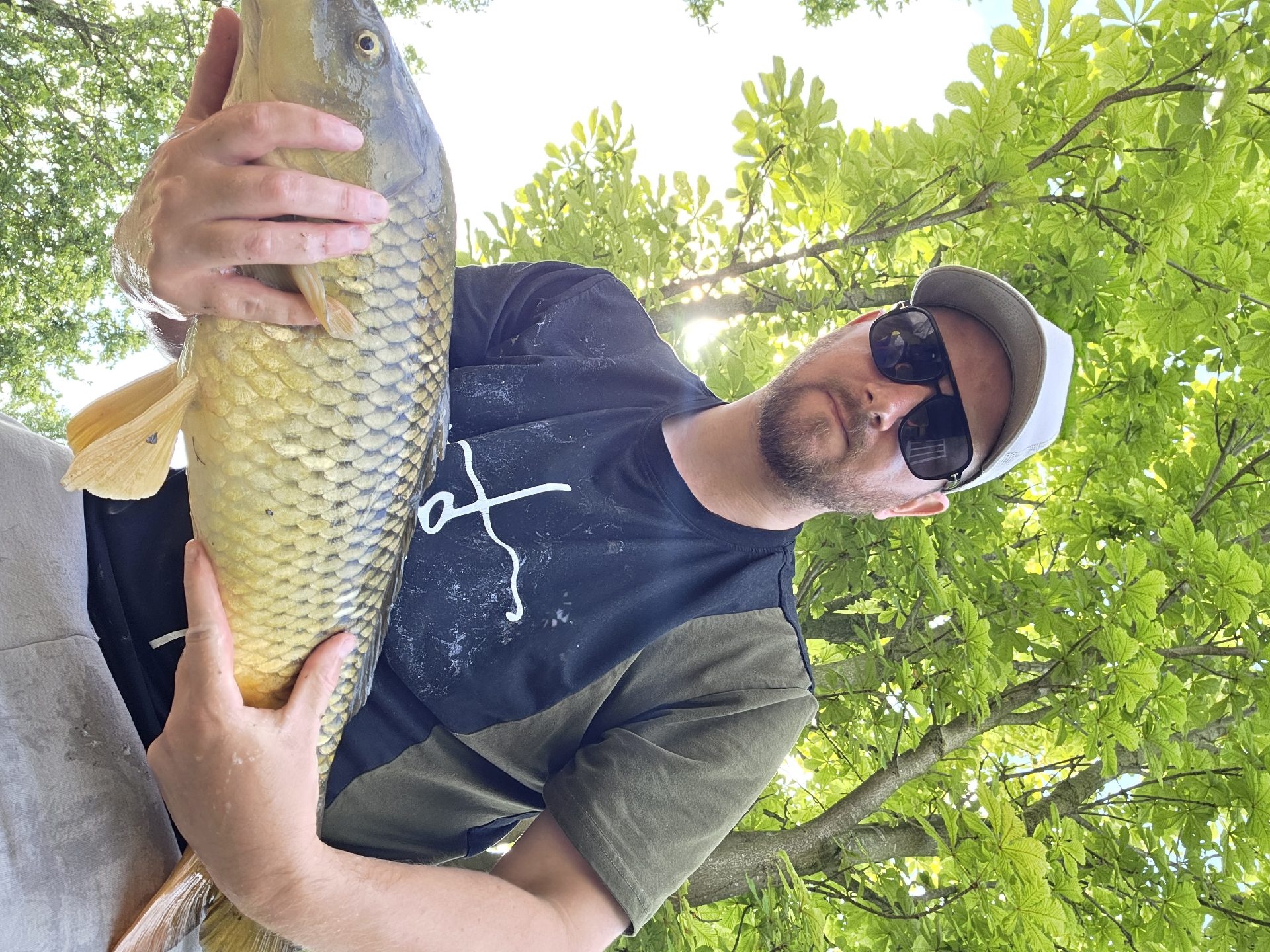 Common Carp caught by thegafferfm