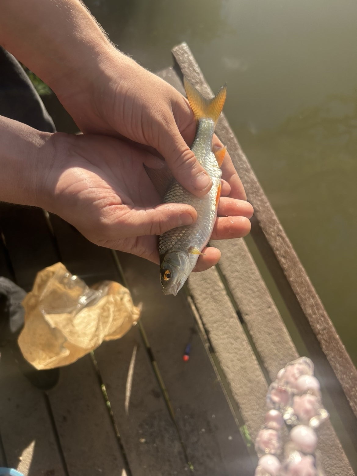 Roach caught by laverslures