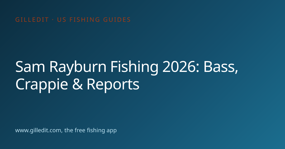 Sam Rayburn Fishing 2026: Bass, Crappie & Reports